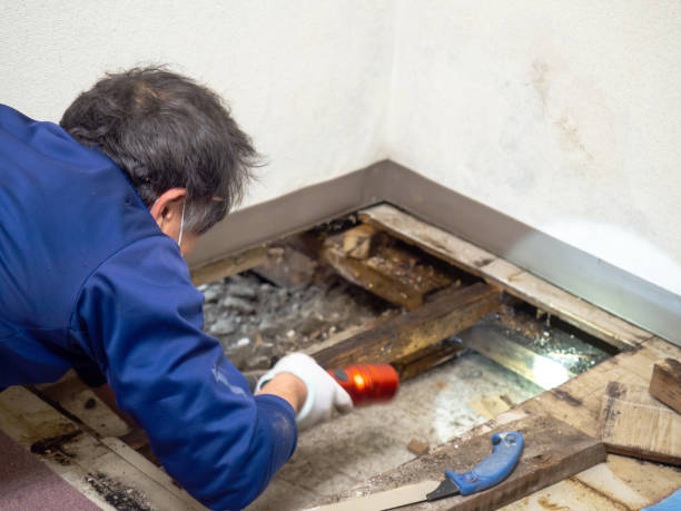 Best Toxic Mold Removal  in Crooked Lake Park, FL