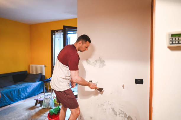 Best Local Mold Removal Service  in Crooked Lake Park, FL