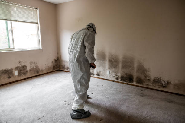 Best Crawl Space Mold Removal  in Crooked Lake Park, FL
